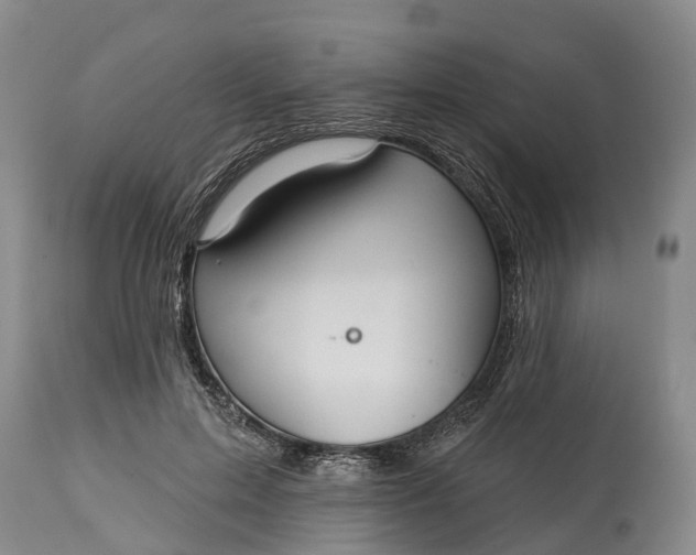 X0000115010599200911091422