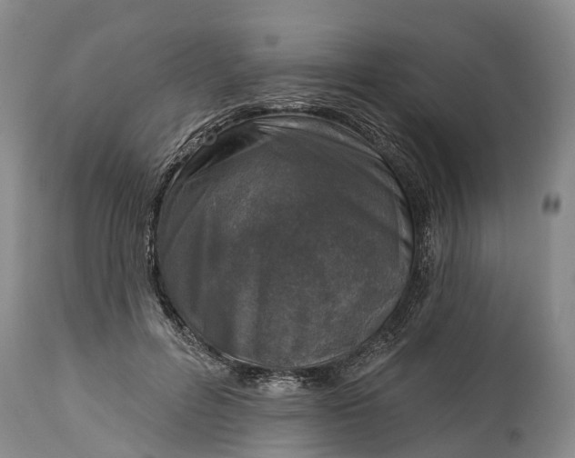 X0000115010600200911091422