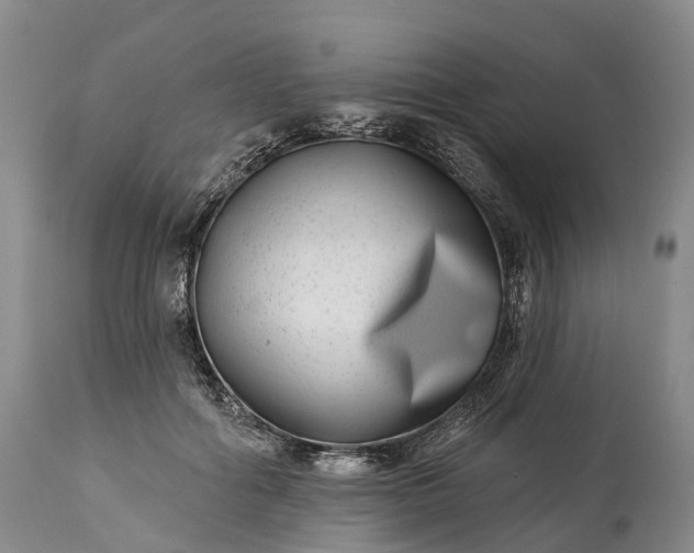 X0000115010602200911091422