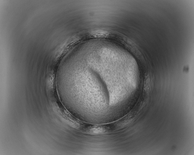 X0000115010604200911091422