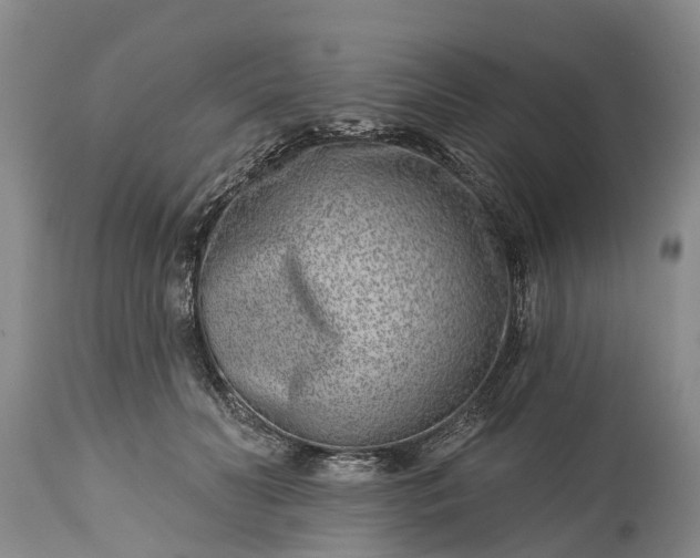X0000115010606200911091422