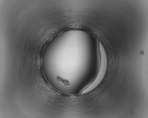 X0000115010609200911091422