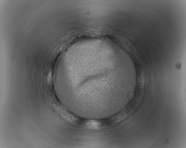 X0000115010610200911091422