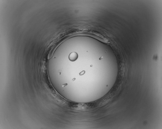 X0000115010612200911091422