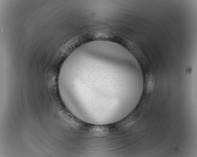 X0000115010619200911091422