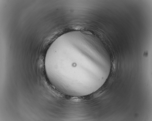 X0000115010620200911091422