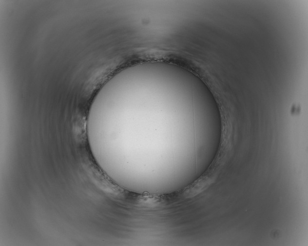 X0000115010624200911091422