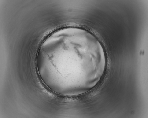 X0000115010625200911091421