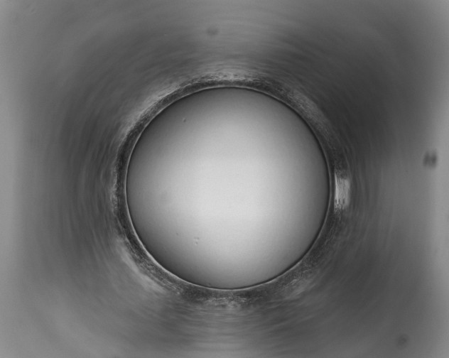 X0000115010627200911091421