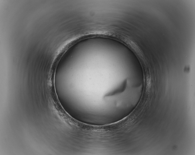 X0000115010628200911091421