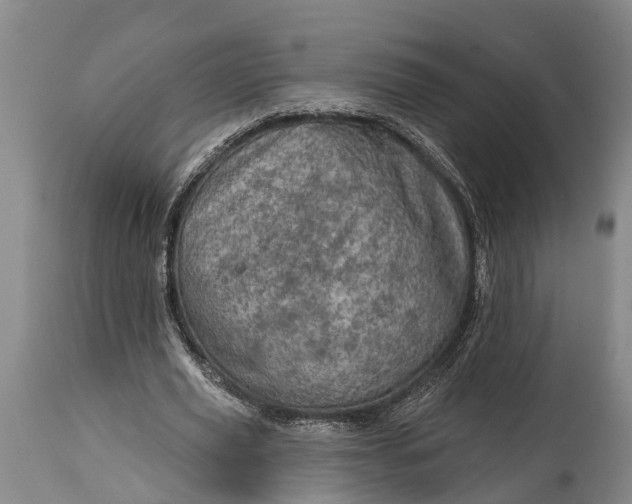 X0000115010629200911091421