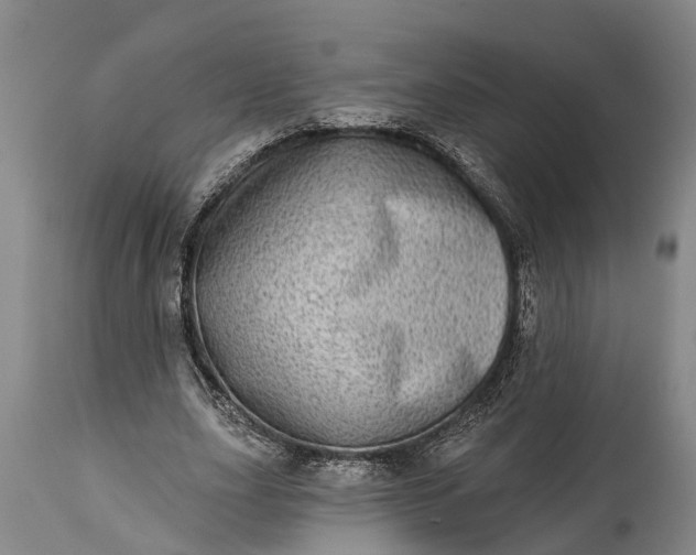 X0000115010631200911091421