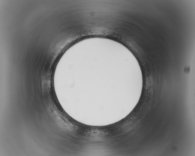 X0000115010632200911091421