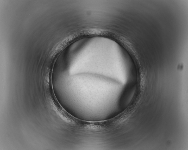 X0000115010633200911091421