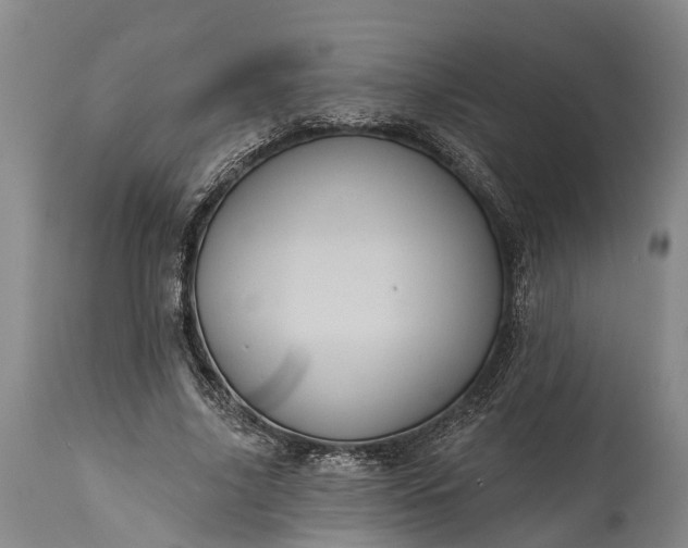 X0000115010635200911091421