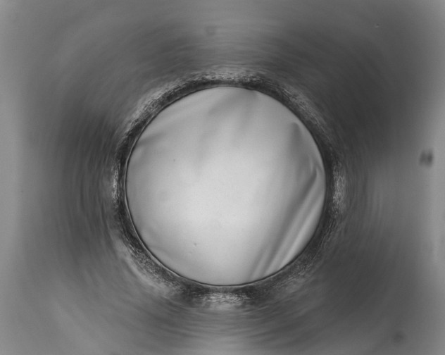 X0000115010636200911091421