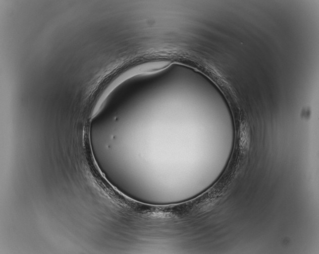 X0000115010637200911091421