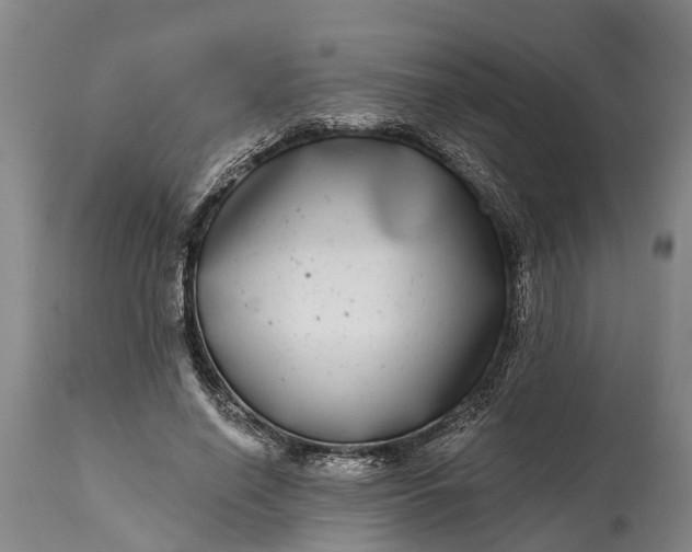 X0000115010638200911091421