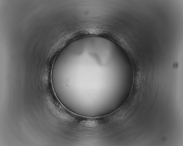 X0000115010639200911091421