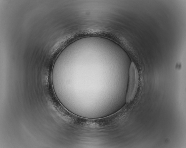X0000115010640200911091421