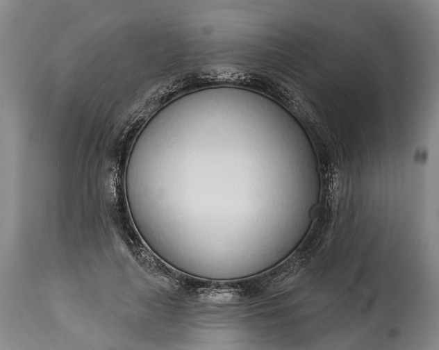X0000115010643200911091421