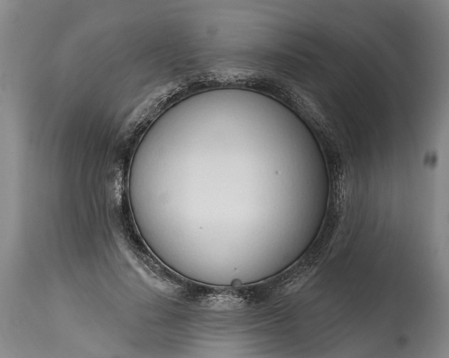 X0000115010644200911091421