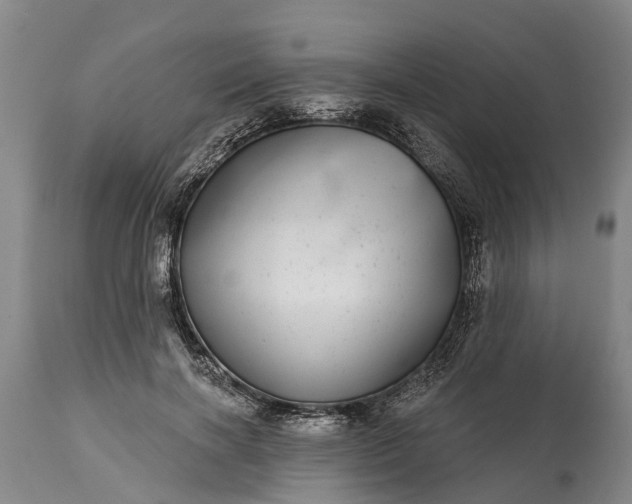 X0000115010646200911091421
