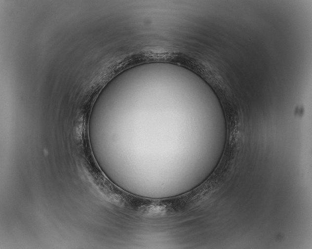 X0000115010647200911091421