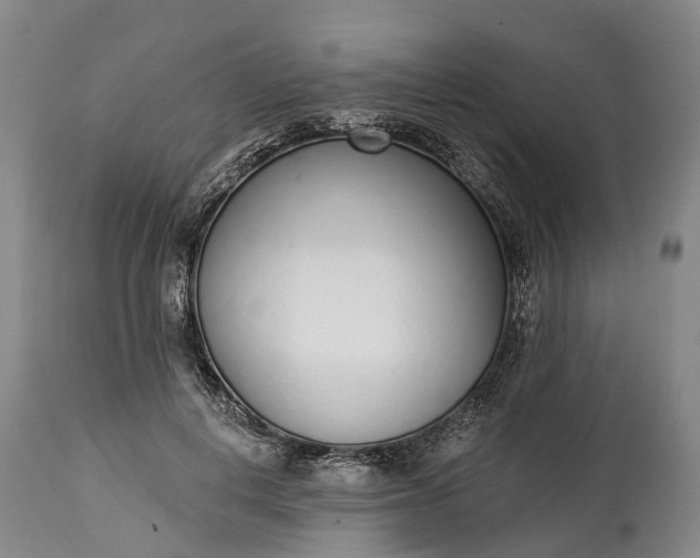 X0000115010648200911091421