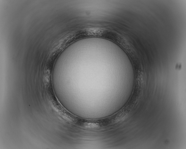 X0000115010649200911091421