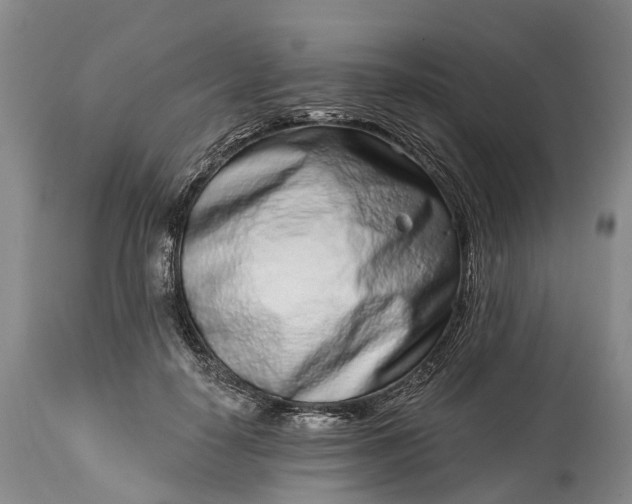 X0000115010650200911091421
