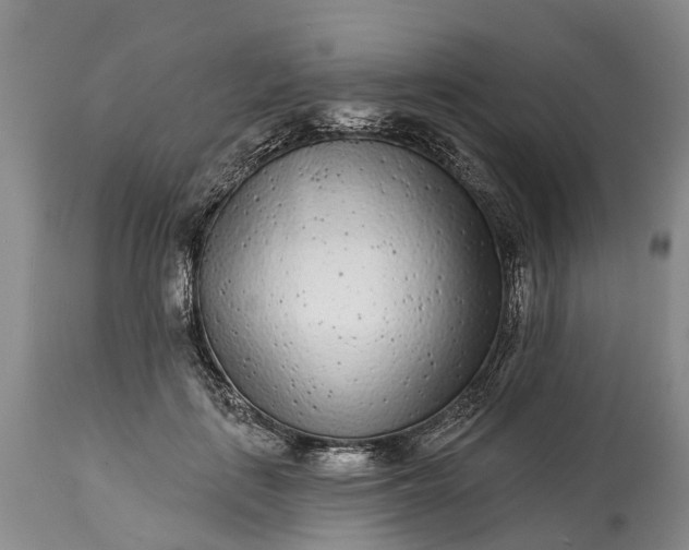 X0000115010651200911091421