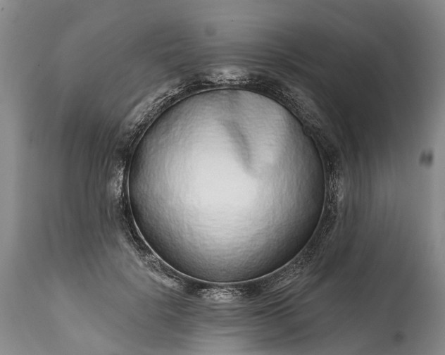 X0000115010652200911091421