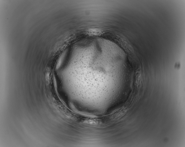 X0000115010655200911091421