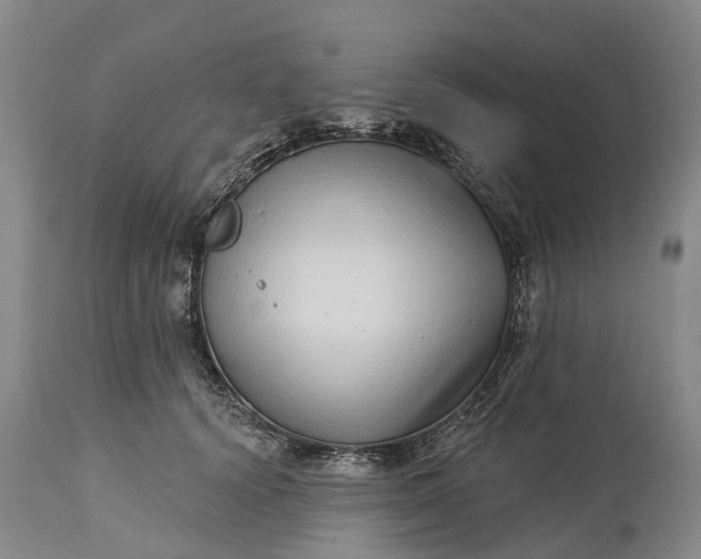 X0000115010656200911091421