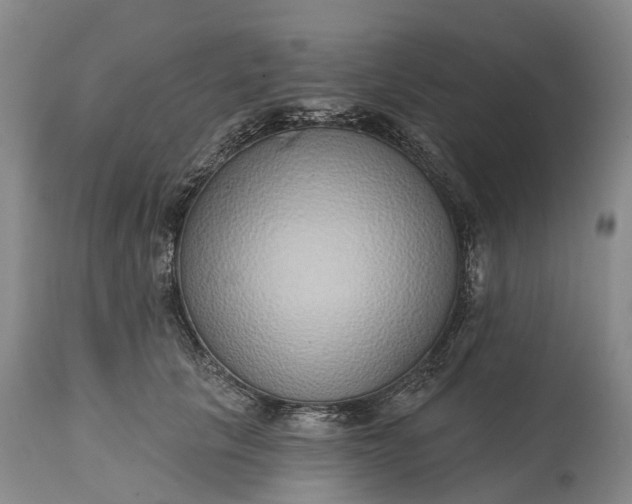 X0000115010657200911091421