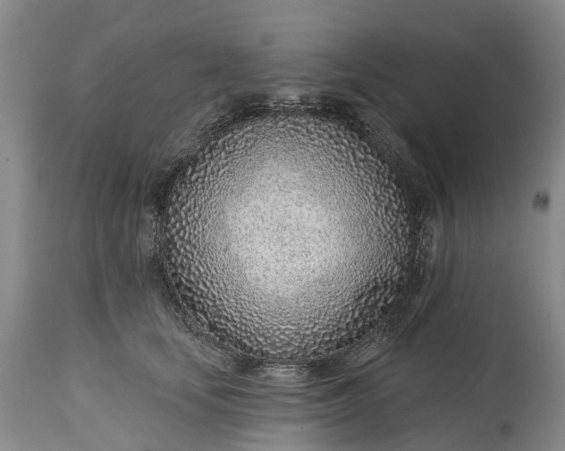 X0000115010659200911091422