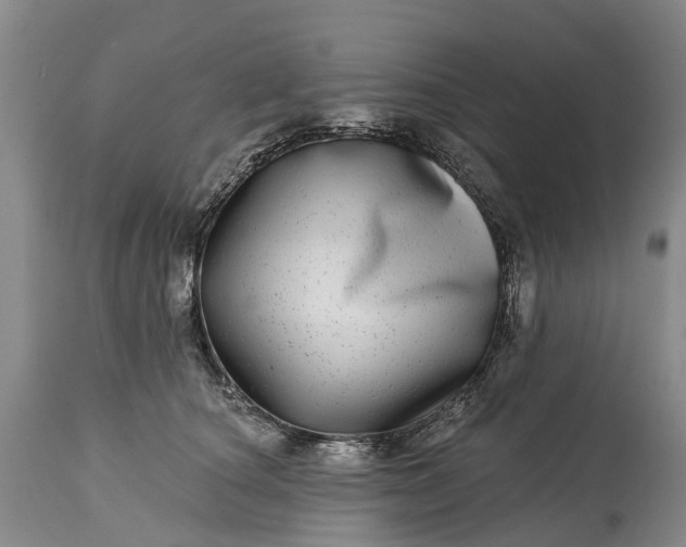 X0000115010660200911091422