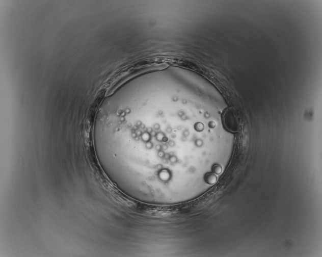 X0000115010661200911091422