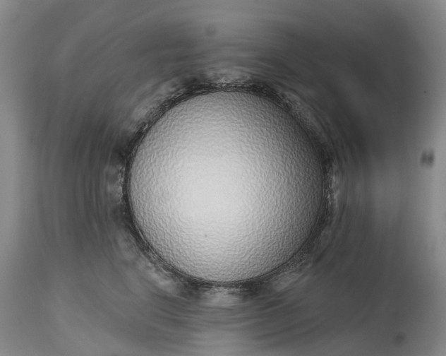 X0000115010664200911091422