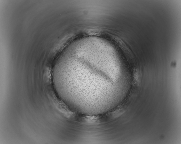 X0000115010667200911091422