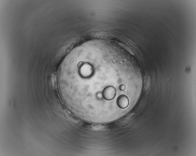X0000115010669200911091422