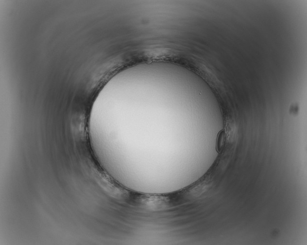 X0000115010670200911091422