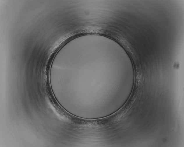 X0000115010674200911091421