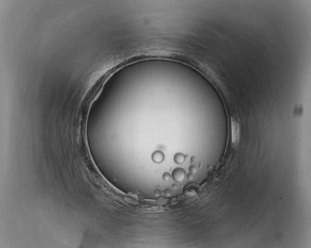 X0000115010675200911091421