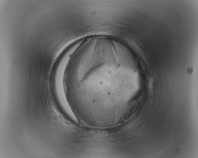 X0000115010676200911091421