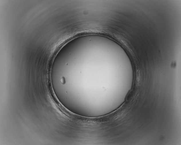 X0000115010677200911091421