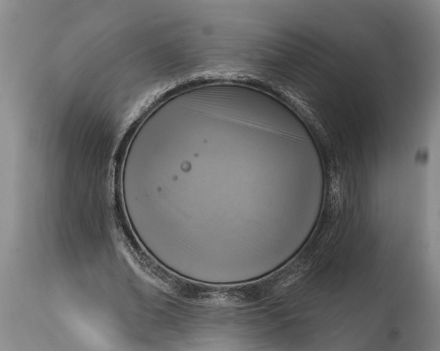 X0000115010678200911091421