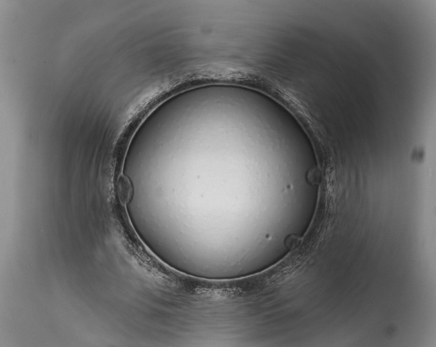 X0000115010679200911091421