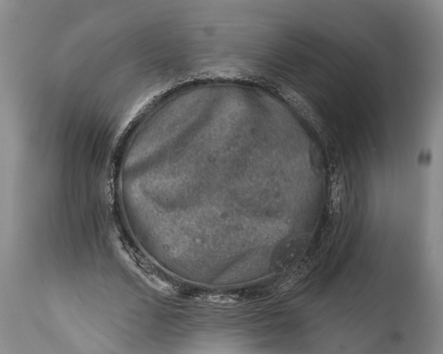 X0000115010680200911091421